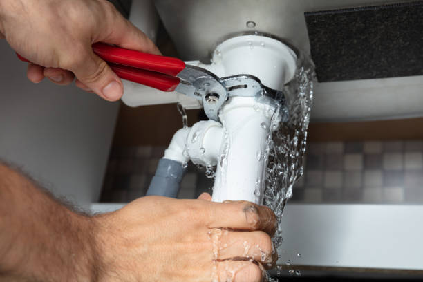 Best Local water damage restoration  in Appleton City, MO