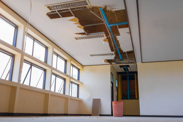 Best Fire Damage Restoration  in Appleton City, MO