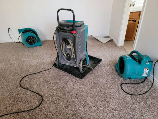 Best Professional water damage repair  in Appleton City, MO