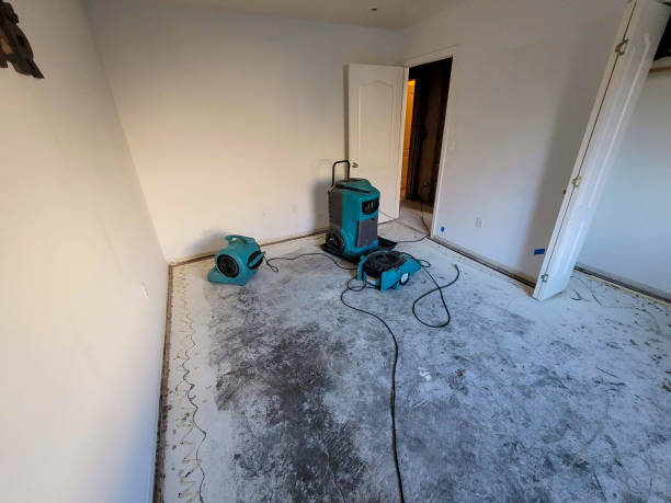 Sewage cleanup and water damage restoration in MO