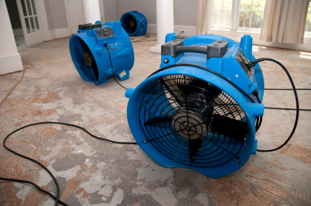Best Flood restoration services  in Appleton City, MO