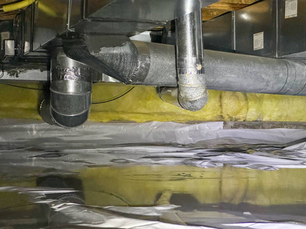 Best Flooded house restoration  in Appleton City, MO