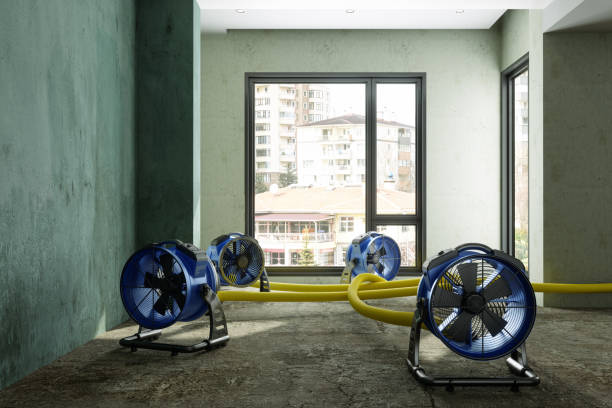 Best Fire Damage Restoration  in Appleton City, MO